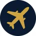 Airport Expert Witness airplane icon